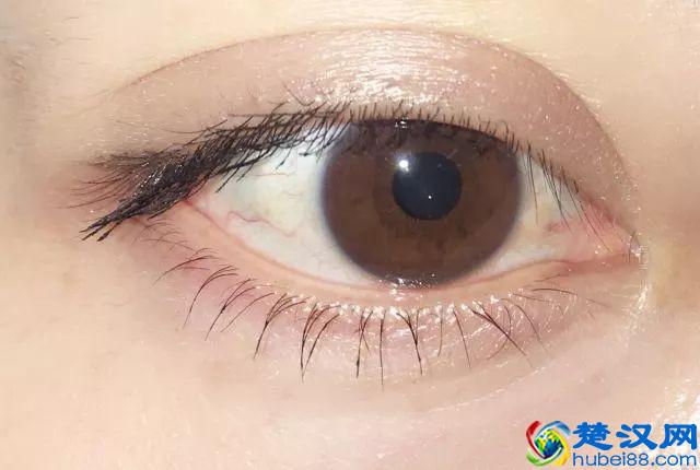 8款热门睫毛膏专业测评，Angelababy 最爱的睫毛膏居然垫底了！