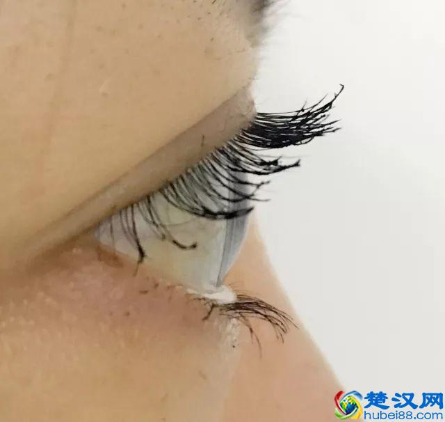 8款热门睫毛膏专业测评，Angelababy 最爱的睫毛膏居然垫底了！