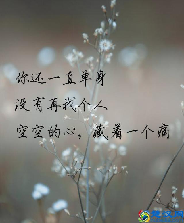 若还能遇见，谈笑风生不动情