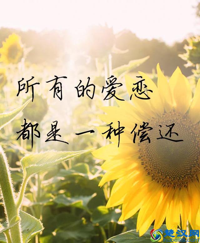 若还能遇见，谈笑风生不动情