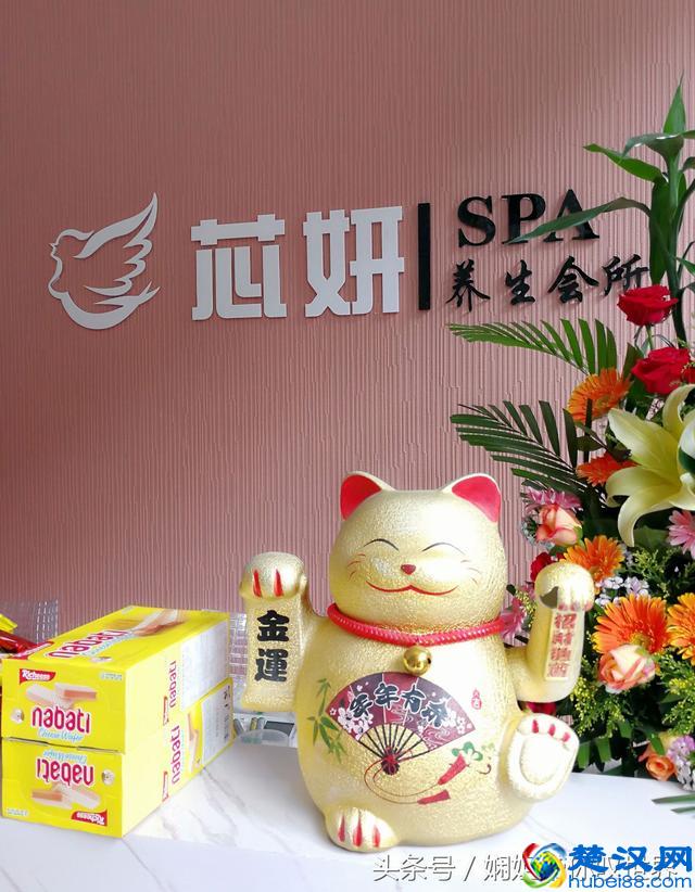 美丽起航，芯妍养生会所开业庆典