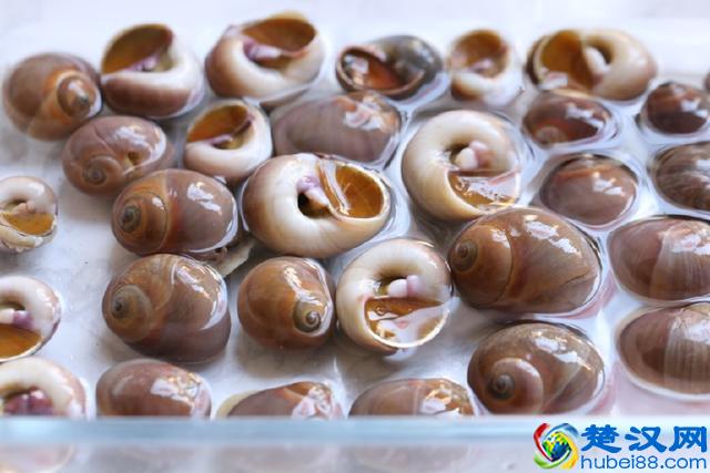 去夜排档必点这菜，就是太贵，向大厨偷师了，想解馋就在家做