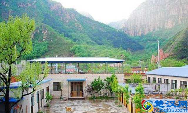 2019农村最具发展前景的3个项目，年收入“五十万”，个个暴利