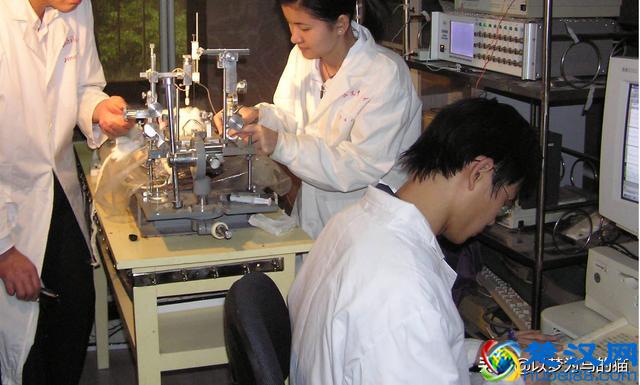 这12个“适合创业”的大学专业，学好了有条件可以自己当老板