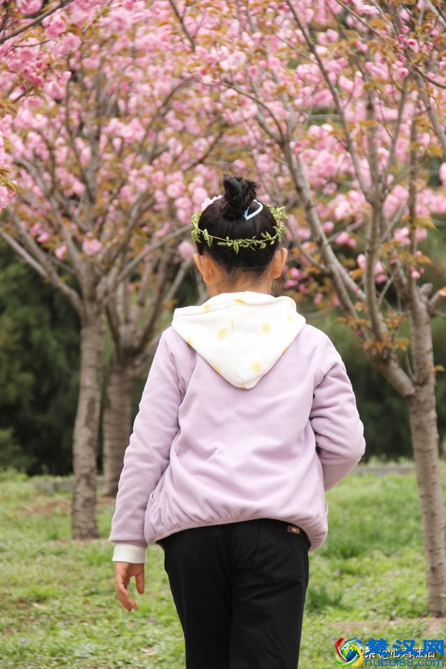 朝阳公园这三个地方，孩子的乐园，摄影爱好者的天堂