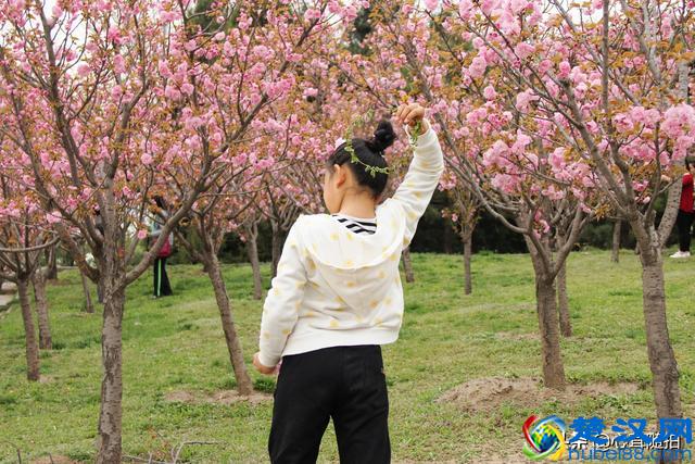 朝阳公园这三个地方，孩子的乐园，摄影爱好者的天堂