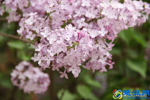 朝阳公园这三个地方，孩子的乐园，摄影爱好者的天堂