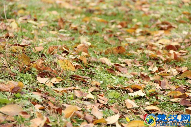 朝阳公园这三个地方，孩子的乐园，摄影爱好者的天堂