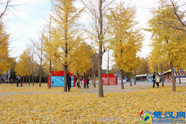 朝阳公园这三个地方，孩子的乐园，摄影爱好者的天堂