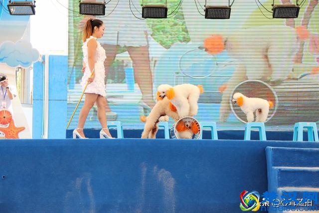 朝阳公园这三个地方，孩子的乐园，摄影爱好者的天堂