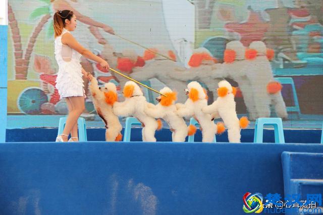 朝阳公园这三个地方，孩子的乐园，摄影爱好者的天堂