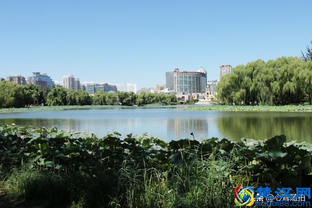 朝阳公园这三个地方，孩子的乐园，摄影爱好者的天堂