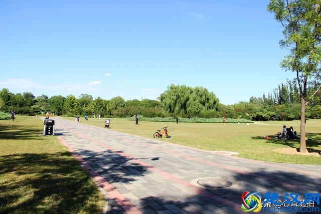 朝阳公园这三个地方，孩子的乐园，摄影爱好者的天堂