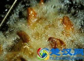 南京炸鸡店总数排名全国第五！史上最强鸡排测评来了