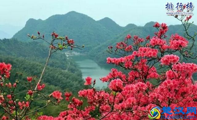 武汉周边十大著名旅游景点景，神龙架位于湖北保康县这里传说有野人