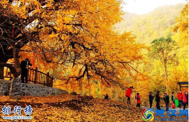 武汉周边十大著名旅游景点景，神龙架位于湖北保康县这里传说有野人