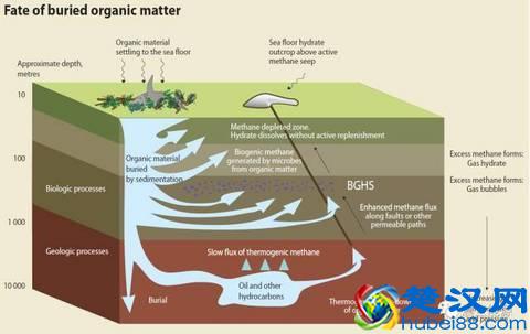 解读大热的可燃冰（1）：可燃冰是什么？它是怎么形成的？