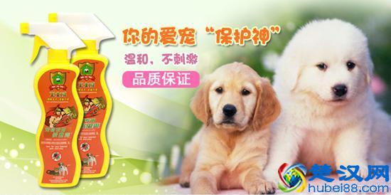 消灭跳蚤三个最好的方法详解！