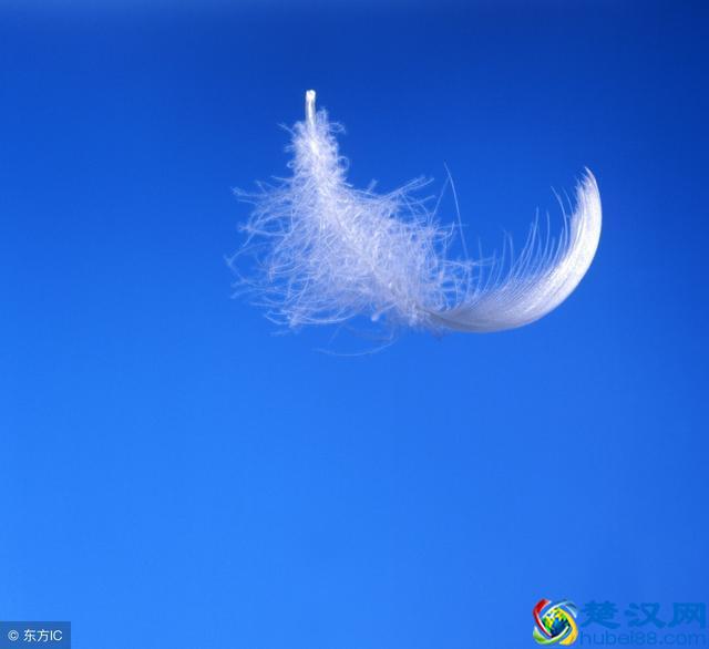 爱因斯坦的广义相对论到底是什么？