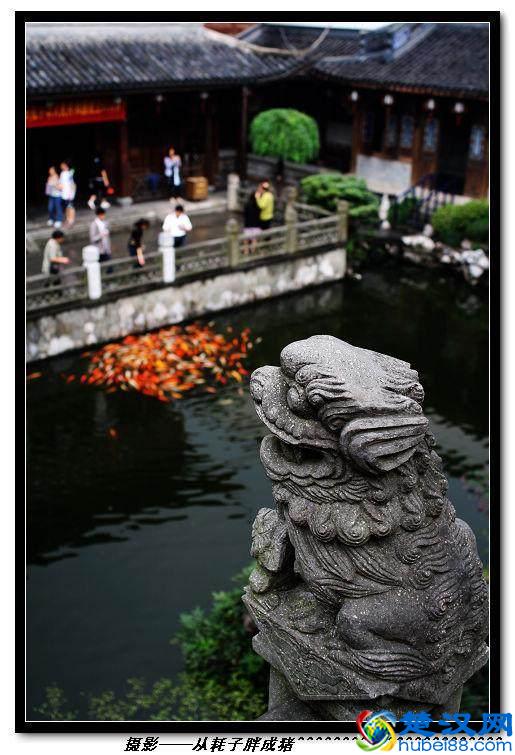 微距镜头居然可以细分为5大类？想好要买什么型号的微距镜头吗？