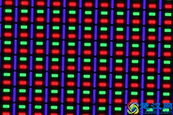 微距镜头居然可以细分为5大类？想好要买什么型号的微距镜头吗？