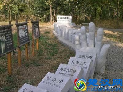 中国人什么都吃的真相是什么？食物链中的屠夫——智人