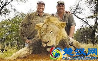 中国人什么都吃的真相是什么？食物链中的屠夫——智人