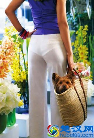 穿衣轻薄的夏天 你的底裤穿对了吗?