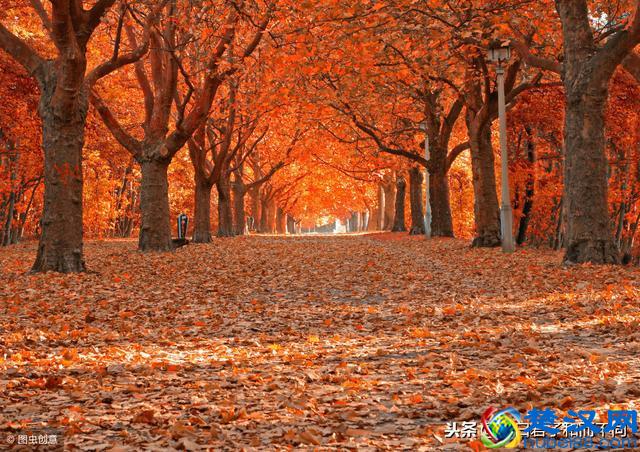 吉他谱（四十二）你怎么舍得我难过