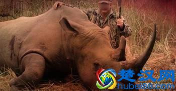 中国人什么都吃的真相是什么？食物链中的屠夫——智人