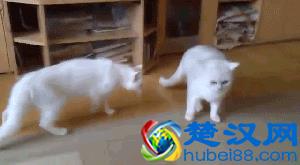 广西哪里人性格最火爆？！