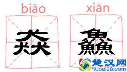 生僻字:三个马念骉biāo,三个龍怎么念