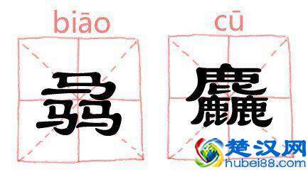 生僻字:三个马念骉biāo,三个龍怎么念