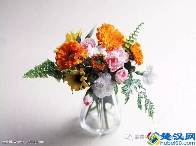 经营20年花店店主来教你如何让鲜花保持更长时间