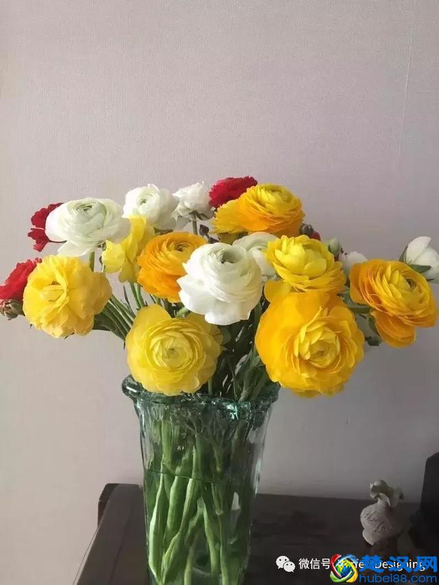 经营20年花店店主来教你如何让鲜花保持更长时间