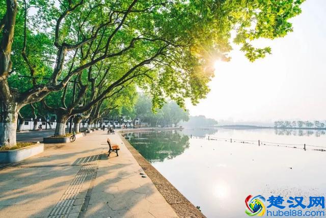 上海周边旅游，我推荐这15个地方！好看好玩又好吃