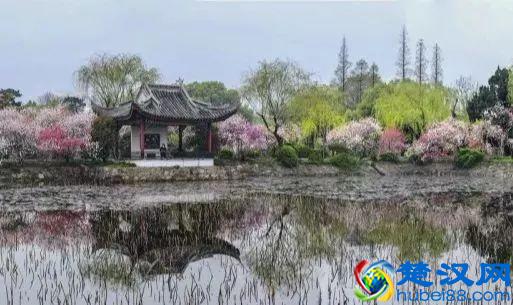 上海周边旅游，我推荐这15个地方！好看好玩又好吃