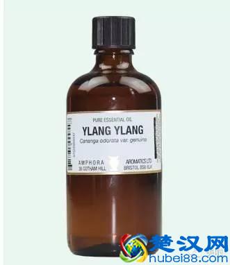 都说精油好用，这8款平价又好用的精油你用过吗？