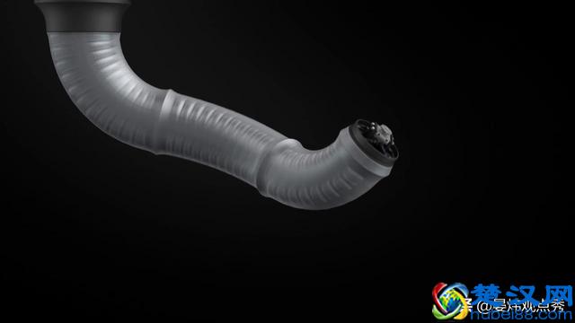 大象的鼻子为什么那么长？因为里面藏着四万块肌肉