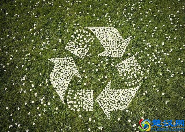 市面主流4款热水器，哪种热水器省钱又安全？