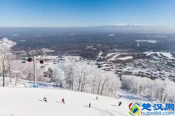 痛定思痛，我们能做的只能是提醒您……