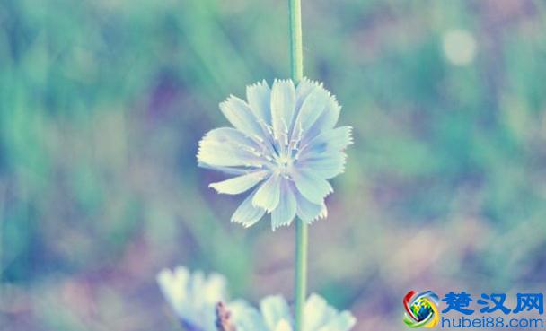 什么是人品？（经典）