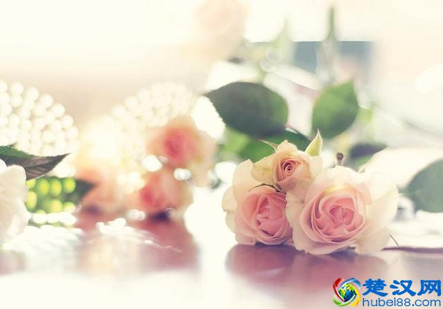 什么是人品？（经典）