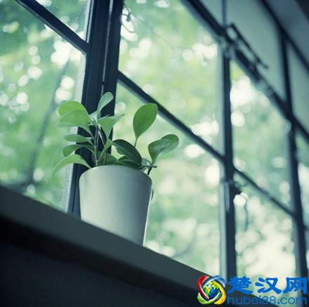 经典到炉火纯青的句子