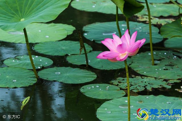 你沾沾自喜的时候，冷眼“旁观人”并不高兴