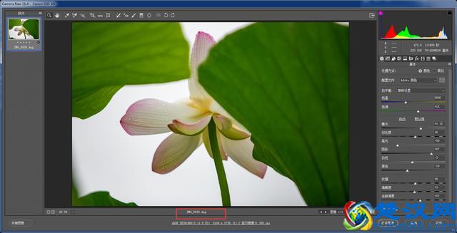 如何把修图后期的照片保存成数字底片格式？