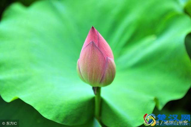 你沾沾自喜的时候，冷眼“旁观人”并不高兴