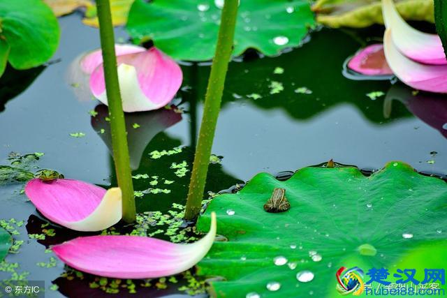 你沾沾自喜的时候，冷眼“旁观人”并不高兴