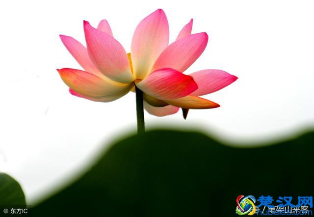 你沾沾自喜的时候，冷眼“旁观人”并不高兴