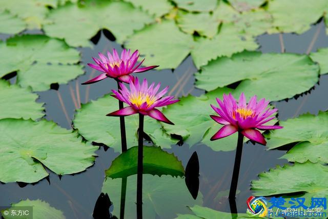 你沾沾自喜的时候，冷眼“旁观人”并不高兴